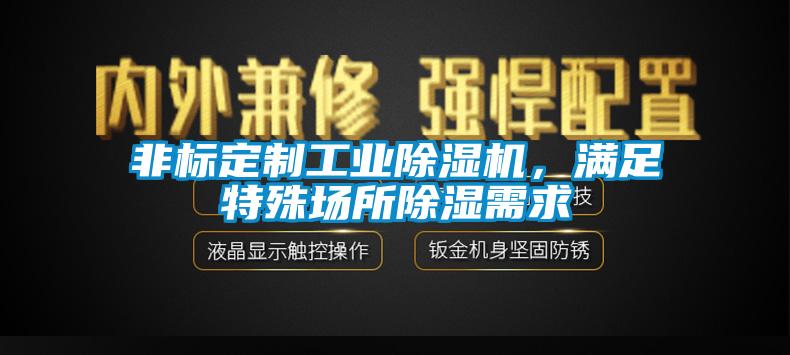 非标定制工业除湿机，满足特殊场所除湿需求