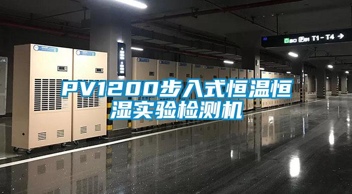 PV1200步入式恒温恒湿实验检测机