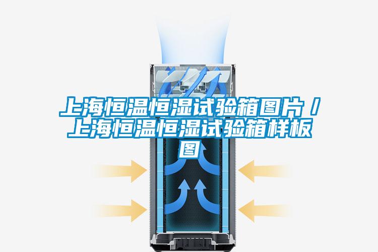 上海恒温恒湿试验箱图片／上海恒温恒湿试验箱样板图
