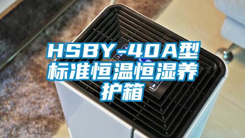 HSBY-40A型标准恒温恒湿养护箱