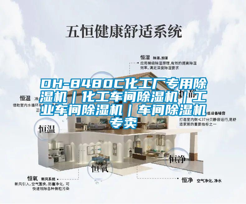 DH-8480C化工厂专用除湿机｜化工车间除湿机｜工业车间除湿机｜车间除湿机专卖