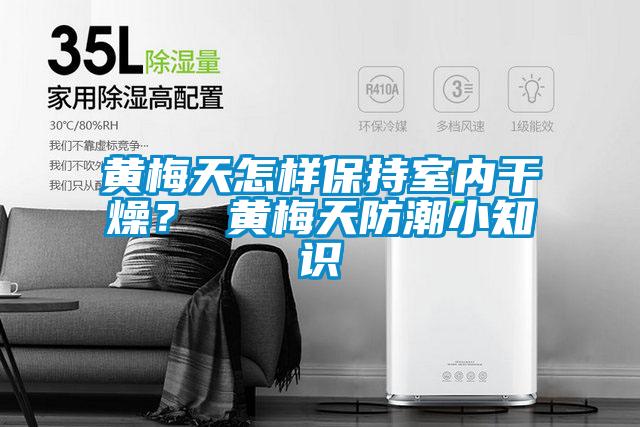黄梅天怎样保持室内干燥? 黄梅天防潮小知识