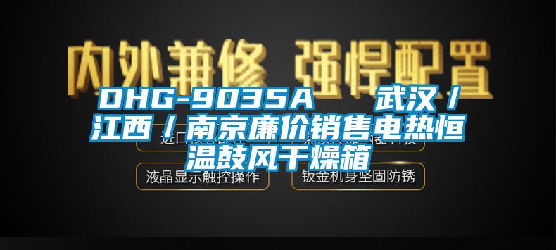 DHG-9035A   武汉／江西／南京廉价销售电热恒温鼓风干燥箱