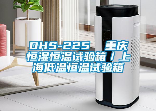 DHS-225  重庆恒湿恒温试验箱／上海低温恒温试验箱