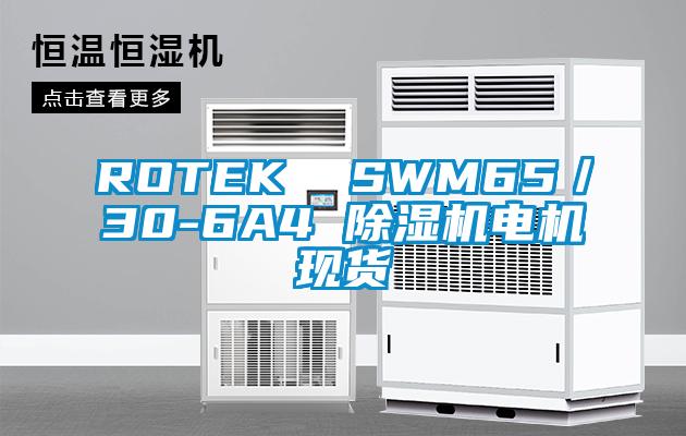 ROTEK  SWM65／30-6A4 除湿机电机现货