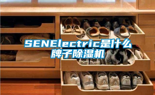 SENElectric是什么牌子除湿机