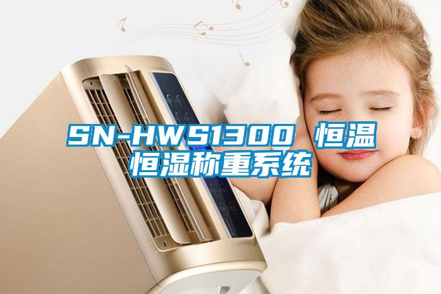 SN-HWS1300 恒温恒湿称重系统