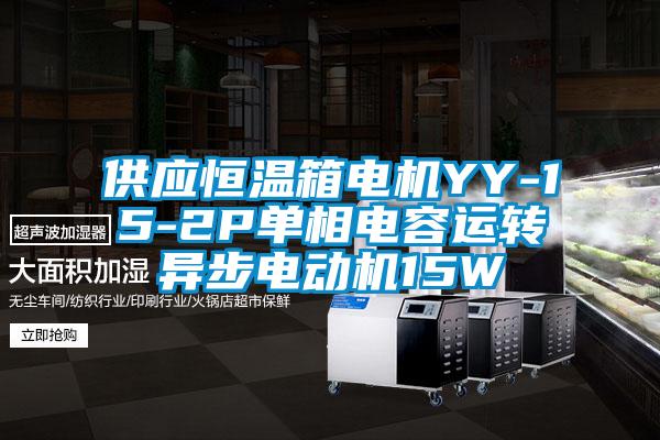供应恒温箱电机YY-15-2P单相电容运转异步电动机15W