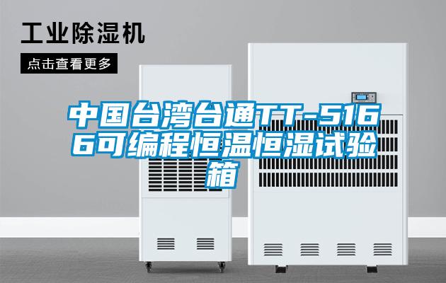 中国台湾台通TT-5166可编程恒温恒湿试验箱