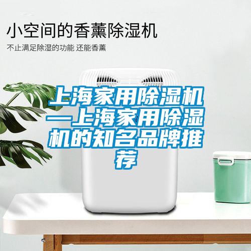 上海家用除湿机—上海家用除湿机的知名品牌推荐