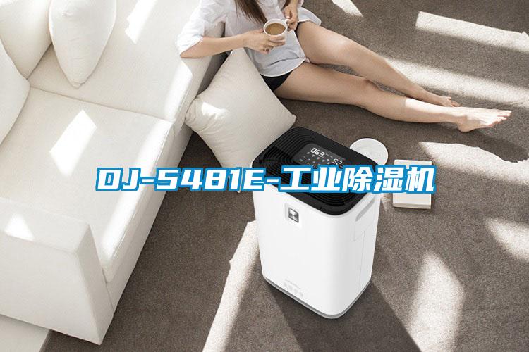 DJ-5481E-工业除湿机