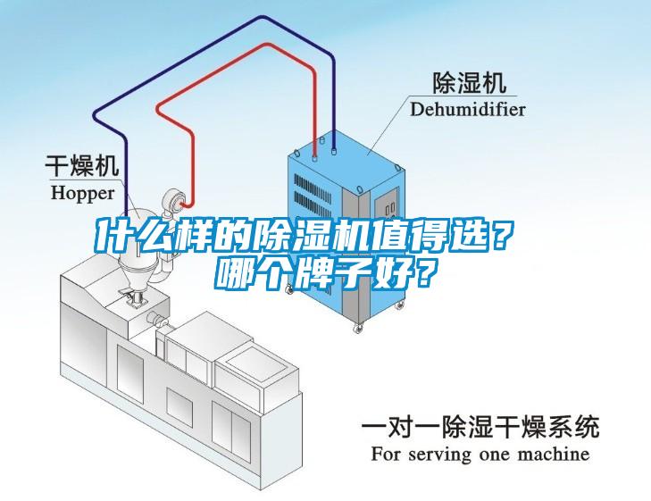 什么样的除湿机值得选？ 哪个牌子好？