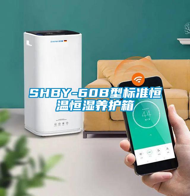 SHBY-60B型标准恒温恒湿养护箱