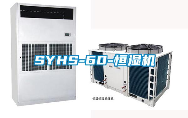 SYHS-60-恒湿机