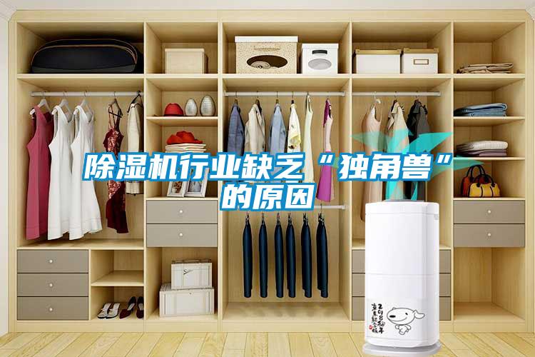 除湿机行业缺乏“独角兽”的原因