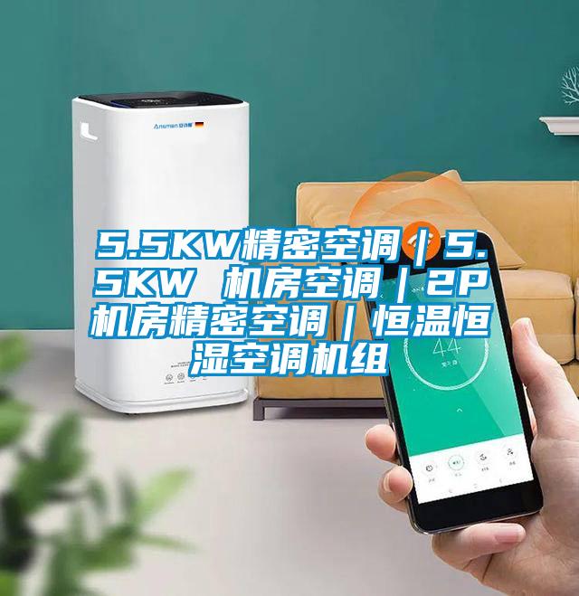 5.5KW精密空调｜5.5KW 机房空调｜2P机房精密空调｜恒温恒湿空调机组