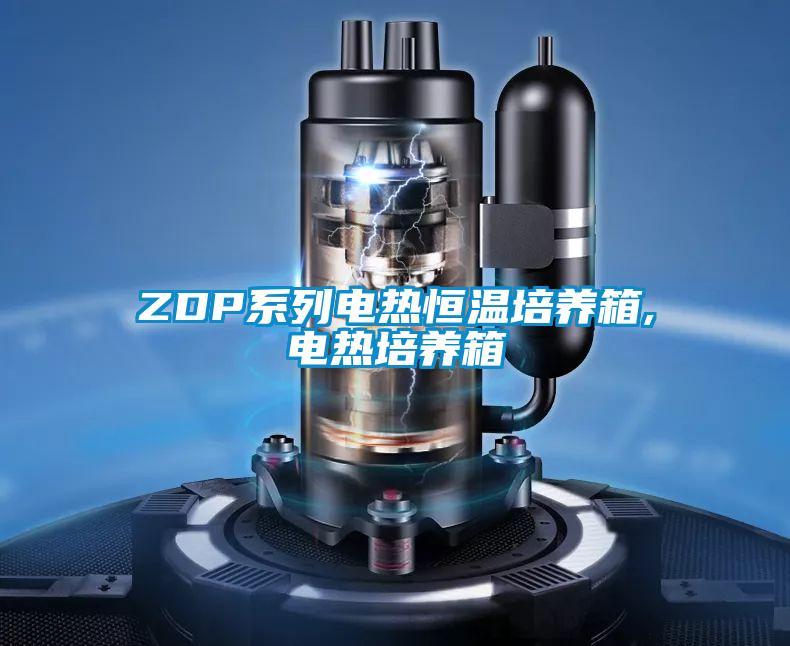 ZDP系列电热恒温培养箱,电热培养箱
