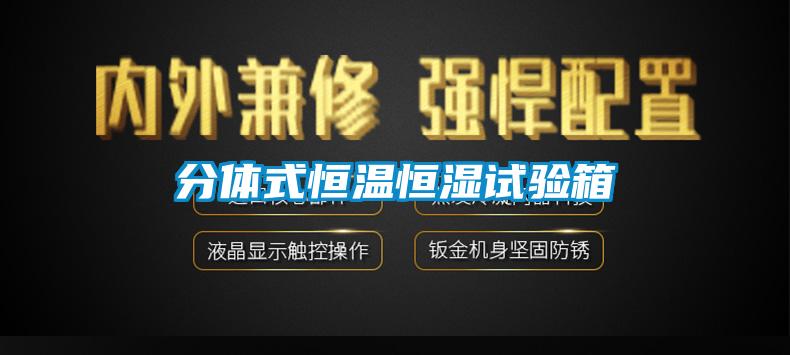 分体式恒温恒湿试验箱