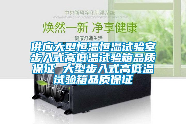 供应大型恒温恒湿试验室步入式高低温试验箱品质保证 大型步入式高低温试验箱品质保证