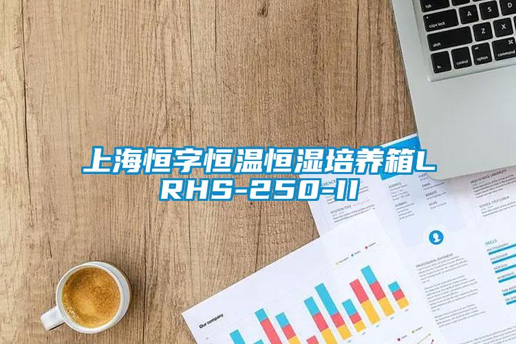 上海恒字恒温恒湿培养箱LRHS-250-II