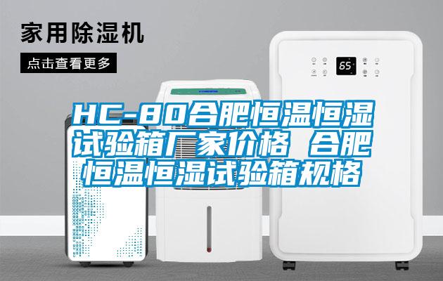 HC-80合肥恒温恒湿试验箱厂家价格 合肥恒温恒湿试验箱规格