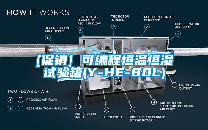 [促销] 可编程恒温恒湿试验箱(Y-HE-80L)