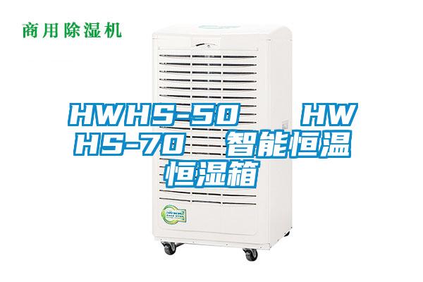 HWHS-50   HWHS-70  智能恒温恒湿箱