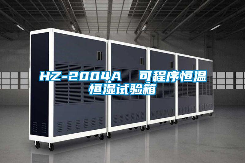 HZ-2004A  可程序恒温恒湿试验箱