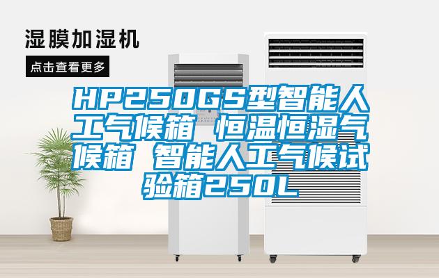 HP250GS型智能人工气候箱 恒温恒湿气候箱 智能人工气候试验箱250L