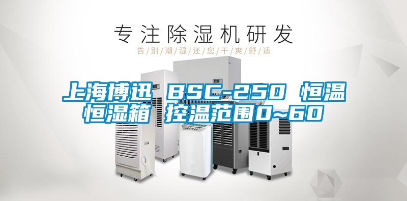 上海博迅 BSC-250 恒温恒湿箱 控温范围0~60℃