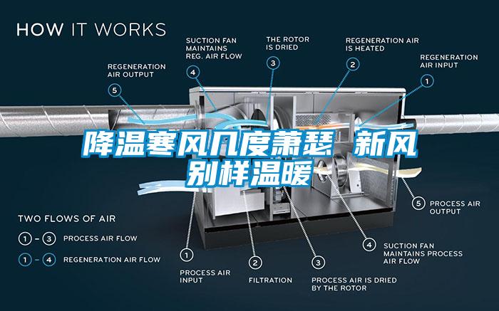 降温寒风几度萧瑟 新风别样温暖