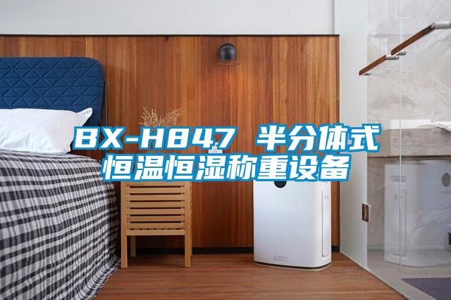 BX-H847 半分体式恒温恒湿称重设备