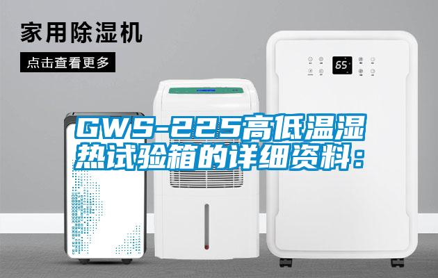 GWS-225高低温湿热试验箱的详细资料：