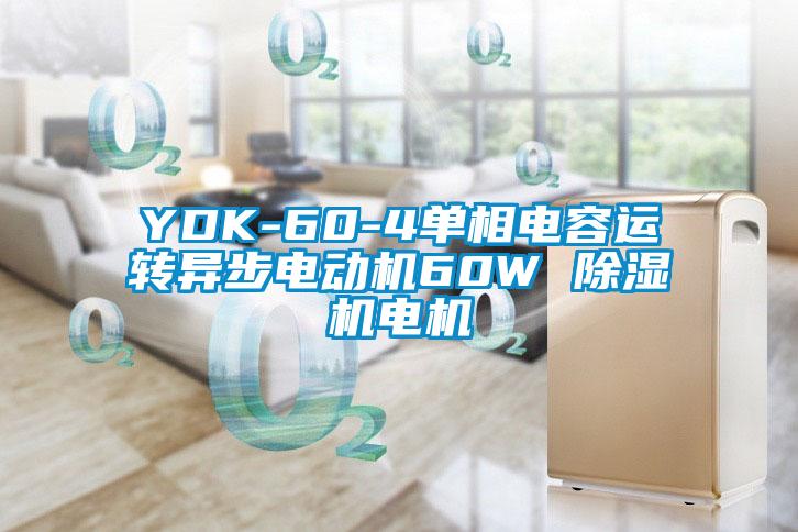 YDK-60-4单相电容运转异步电动机60W 除湿机电机