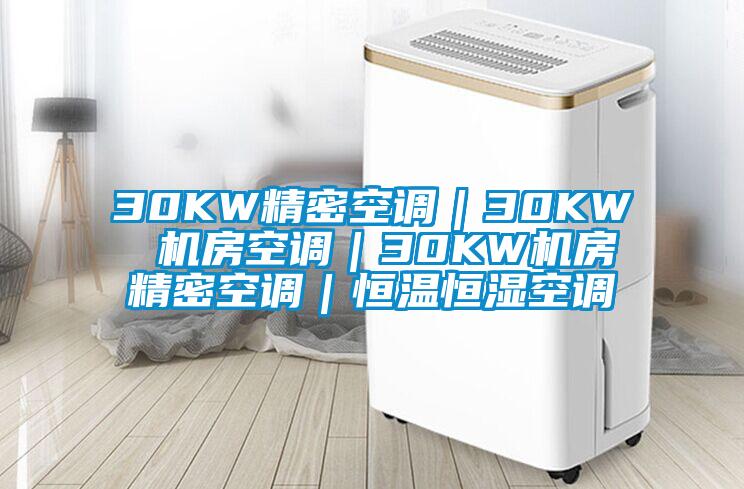 30KW精密空调｜30KW 机房空调｜30KW机房精密空调｜恒温恒湿空调