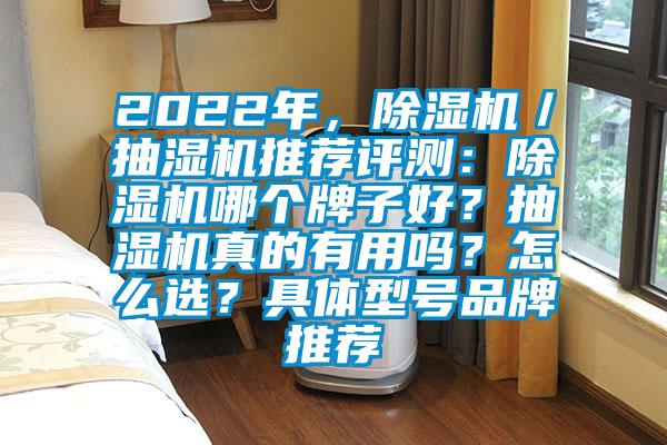 2022年，除湿机／抽湿机推荐评测：除湿机哪个牌子好？抽湿机真的有用吗？怎么选？具体型号品牌推荐