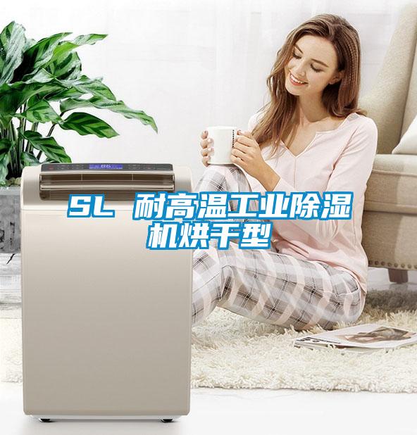 SL 耐高温工业除湿机烘干型