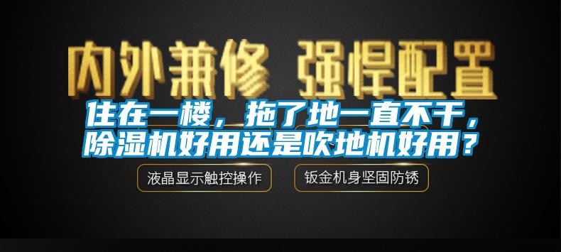 住在一楼，拖了地一直不干，除湿机好用还是吹地机好用？