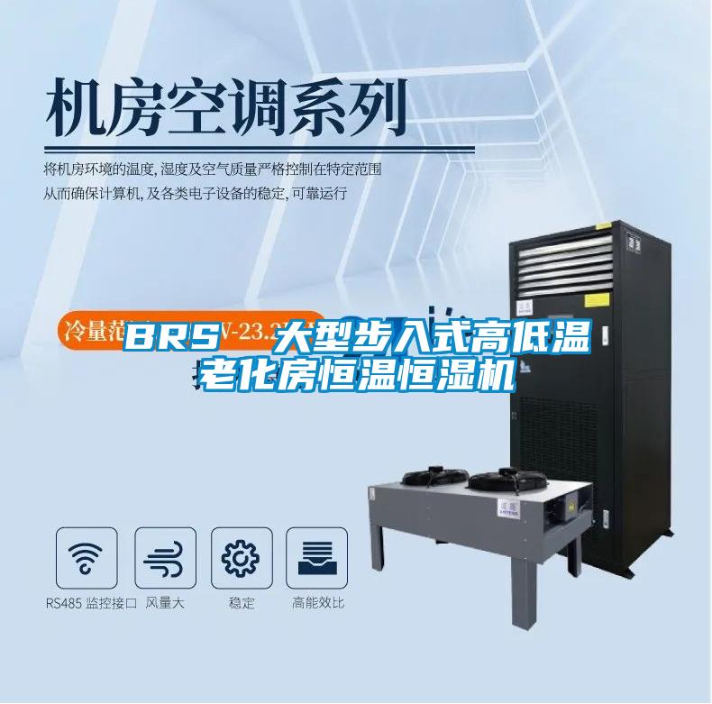 BRS  大型步入式高低温老化房恒温恒湿机