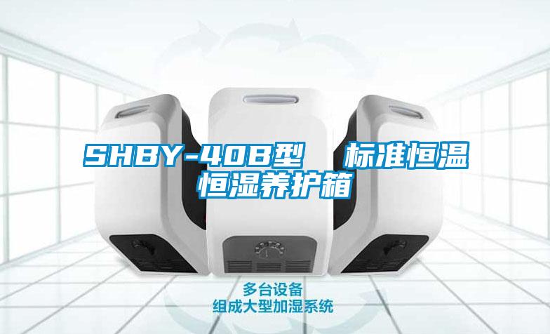 SHBY-40B型  标准恒温恒湿养护箱