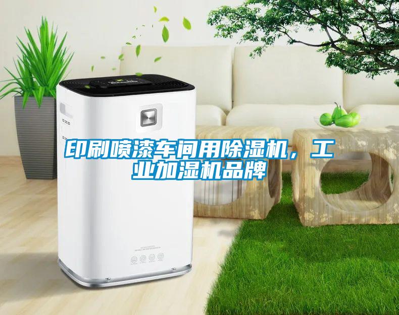 印刷喷漆车间用除湿机，工业加湿机品牌
