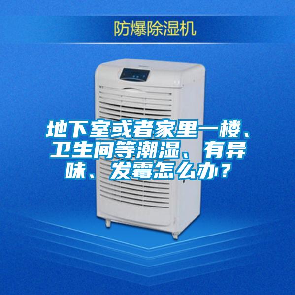 地下室或者家里一楼、卫生间等潮湿、有异味、发霉怎么办？