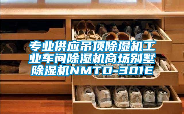 专业供应吊顶除湿机工业车间除湿机商场别墅除湿机NMTD-301E