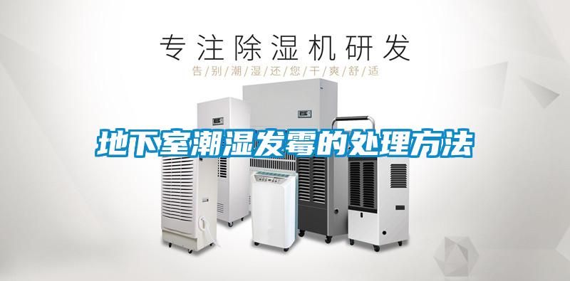 地下室潮湿发霉的处理方法