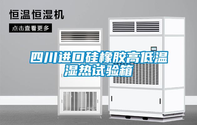 四川进口硅橡胶高低温湿热试验箱