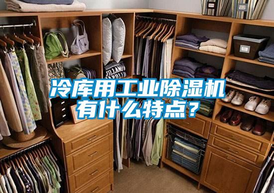 冷库用工业除湿机有什么特点？