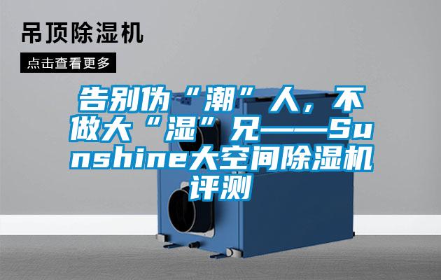 告别伪“潮”人，不做大“湿”兄——Sunshine大空间除湿机评测