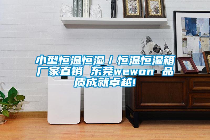 小型恒温恒湿／恒温恒湿箱厂家直销 东莞wewon 品质成就卓越!