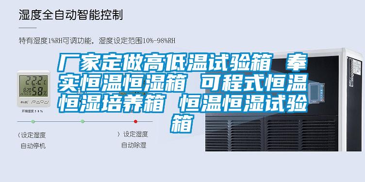 厂家定做高低温试验箱 奉实恒温恒湿箱 可程式恒温恒湿培养箱 恒温恒湿试验箱