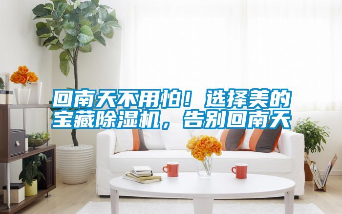 回南天不用怕！选择美的宝藏除湿机，告别回南天
